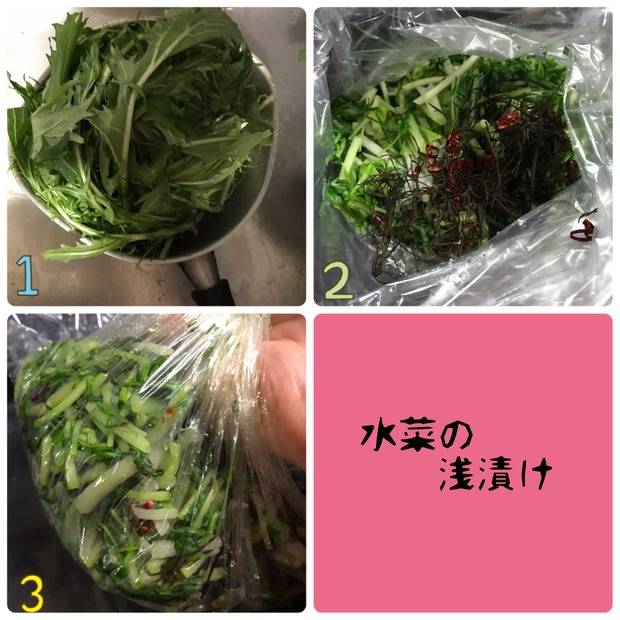 シャキシャキ美味しい!ポリ袋で簡単「水菜の浅漬け」の作り置き