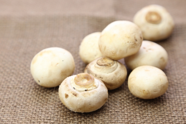 マッシュルームが育つ!?英語の「mushroom growth」の意味とは