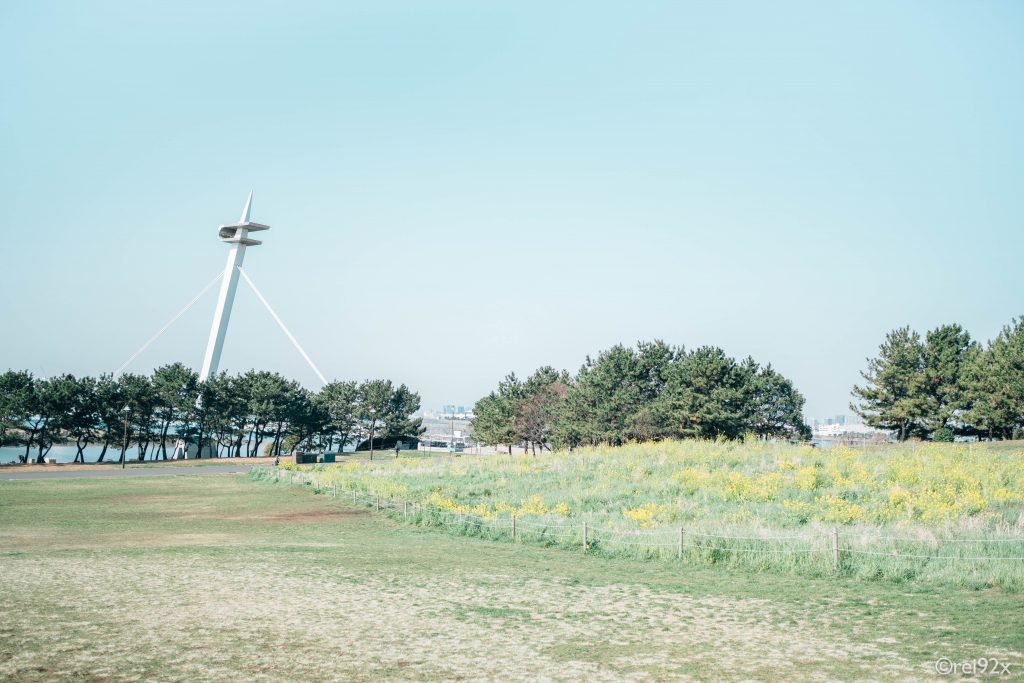 朝の公園