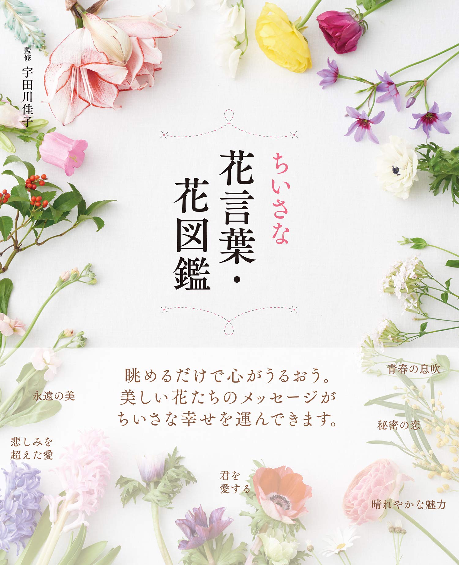 「花言葉」が幸せを呼ぶ！花屋さんで買える素敵な花たちを集めた一冊
