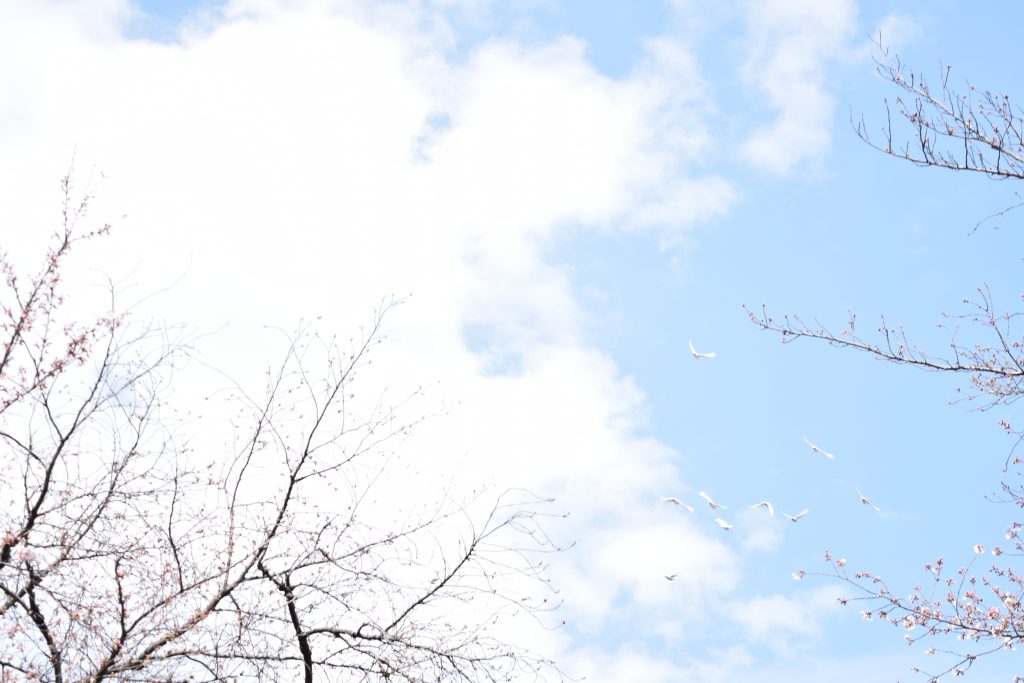 朝の空
