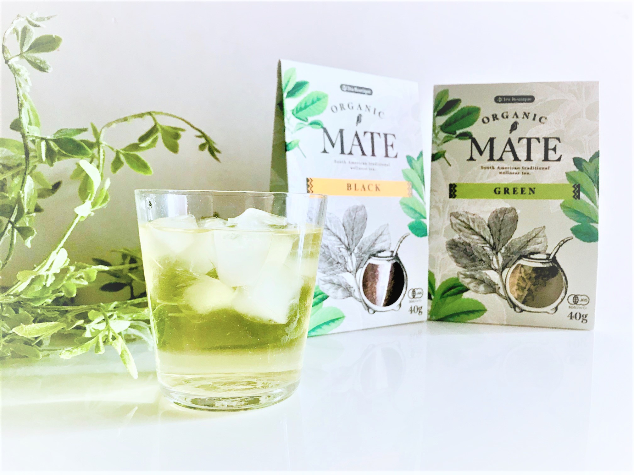 世界三大飲料の1つ！「マテ茶」が健康と美容にいい理由とは？