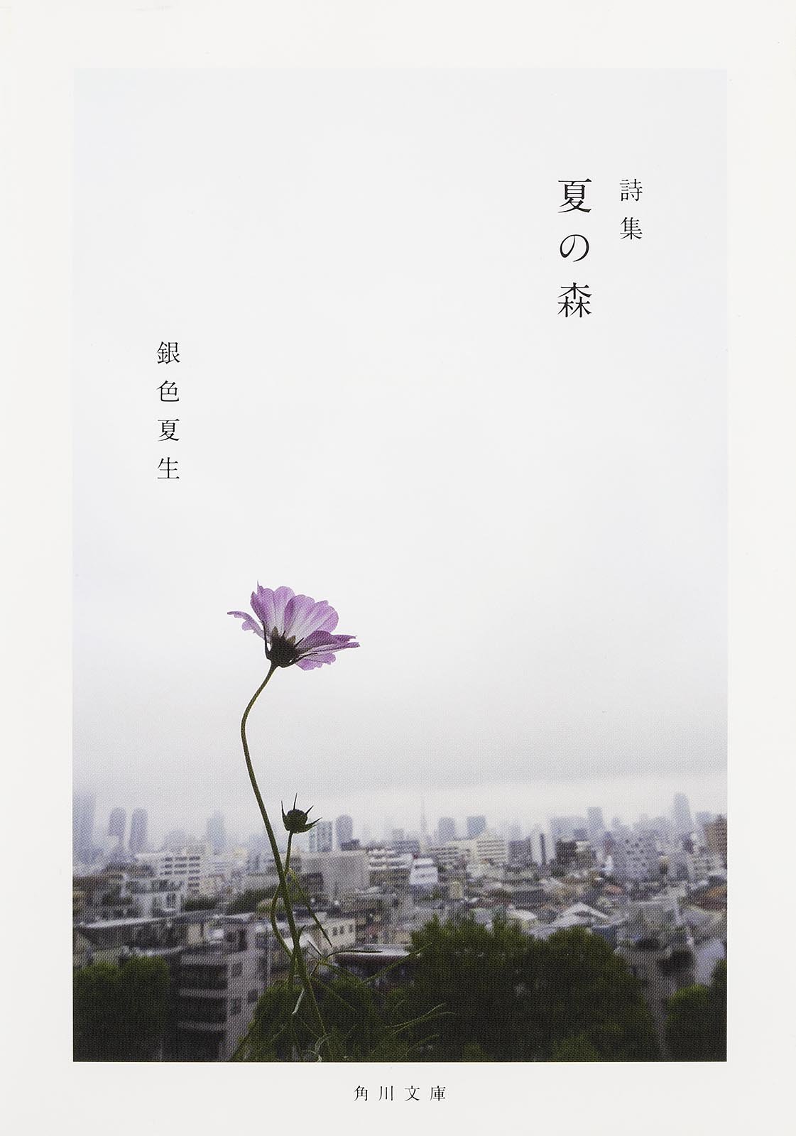 スローにはじめる朝にオススメ。小さな写真集のような一冊『夏の森』
