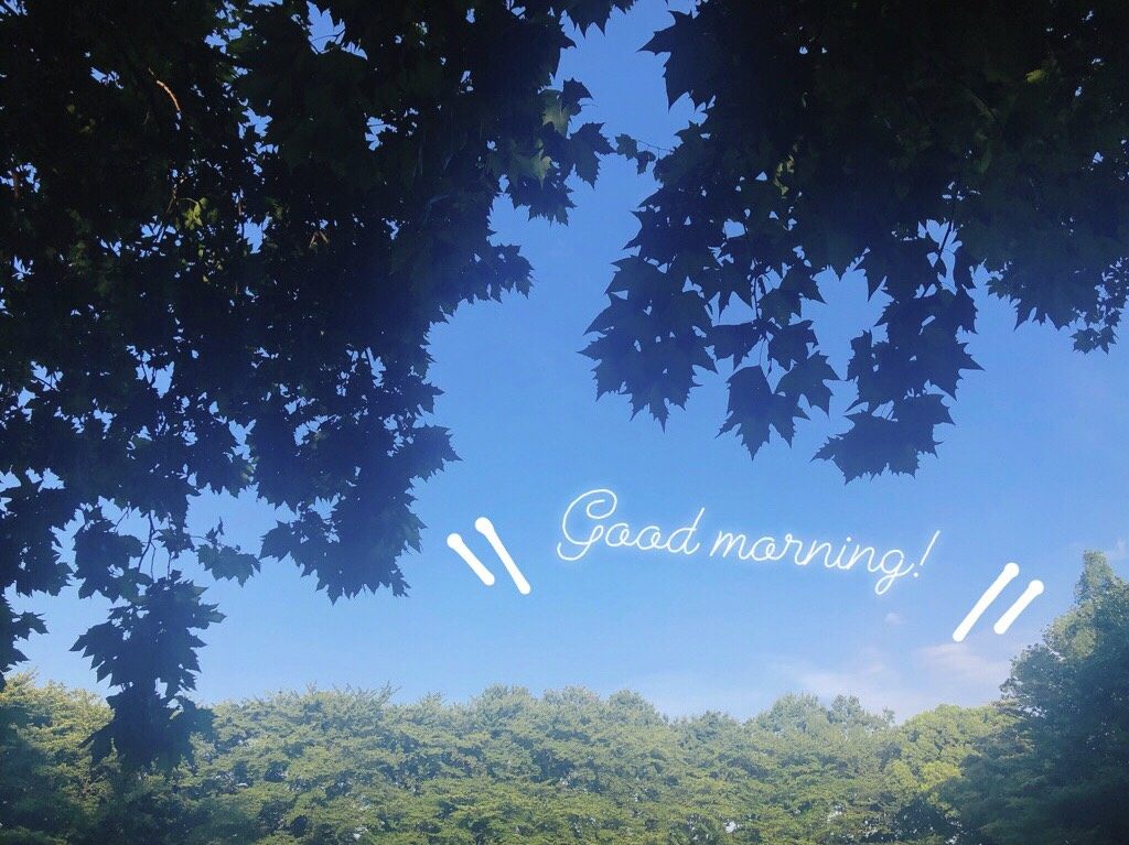 朝の公園
