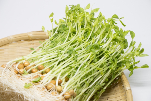 コスパがよくて家計の味方…！「豆苗」のアレンジレシピ3つ