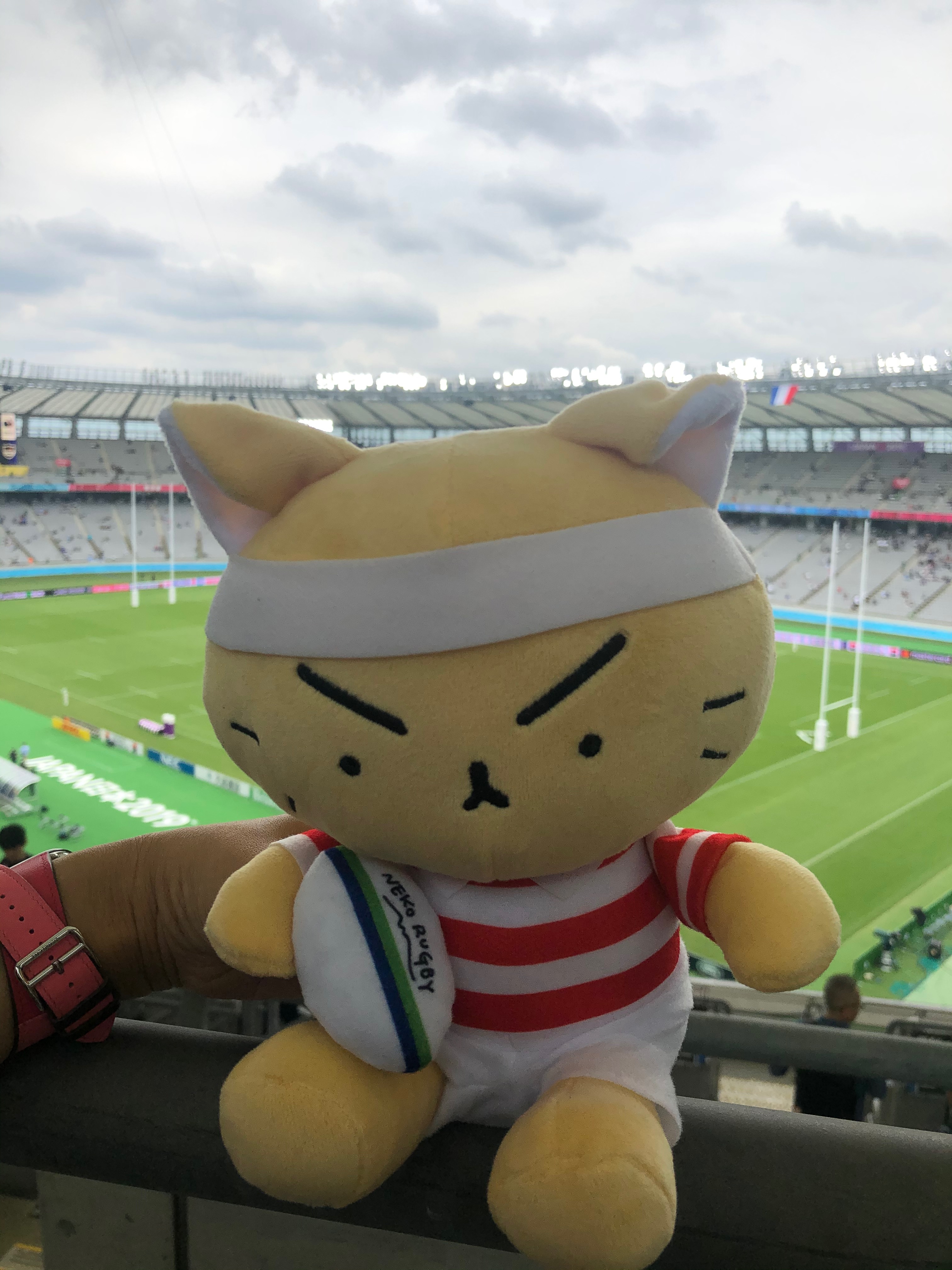 最近のマイブーム:ラグビーとボイトレ