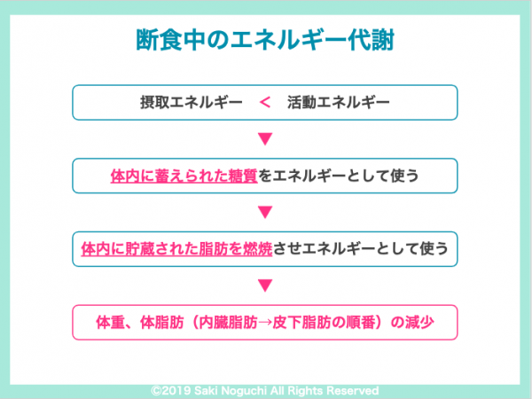 ファスティングで痩せるしくみ