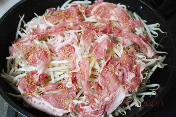 ぶたにくともやし