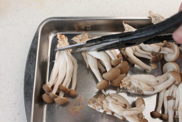 鶏ときのこの南蛮