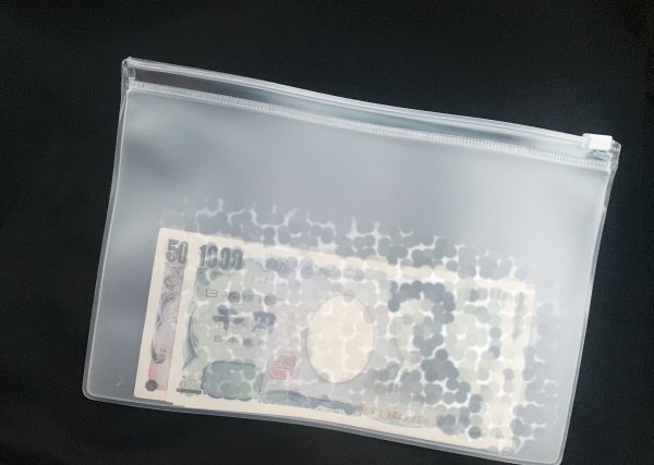 無印良品「EVAケース」