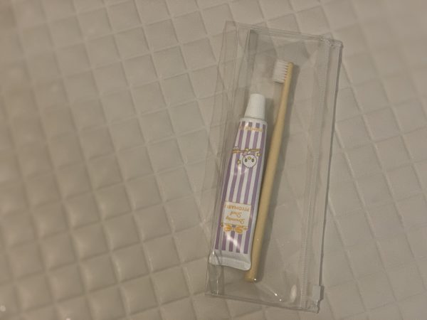 無印良品「EVAケース」
