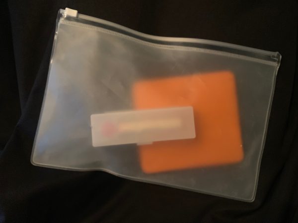 無印良品「EVAケース」