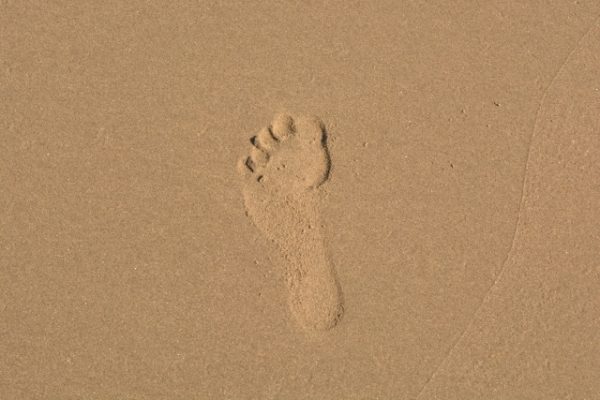 「足」を1単語の英語で言うと？