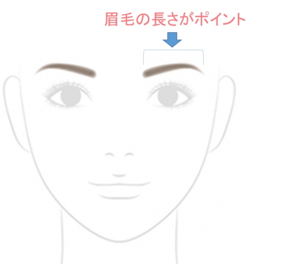 眉の長さ