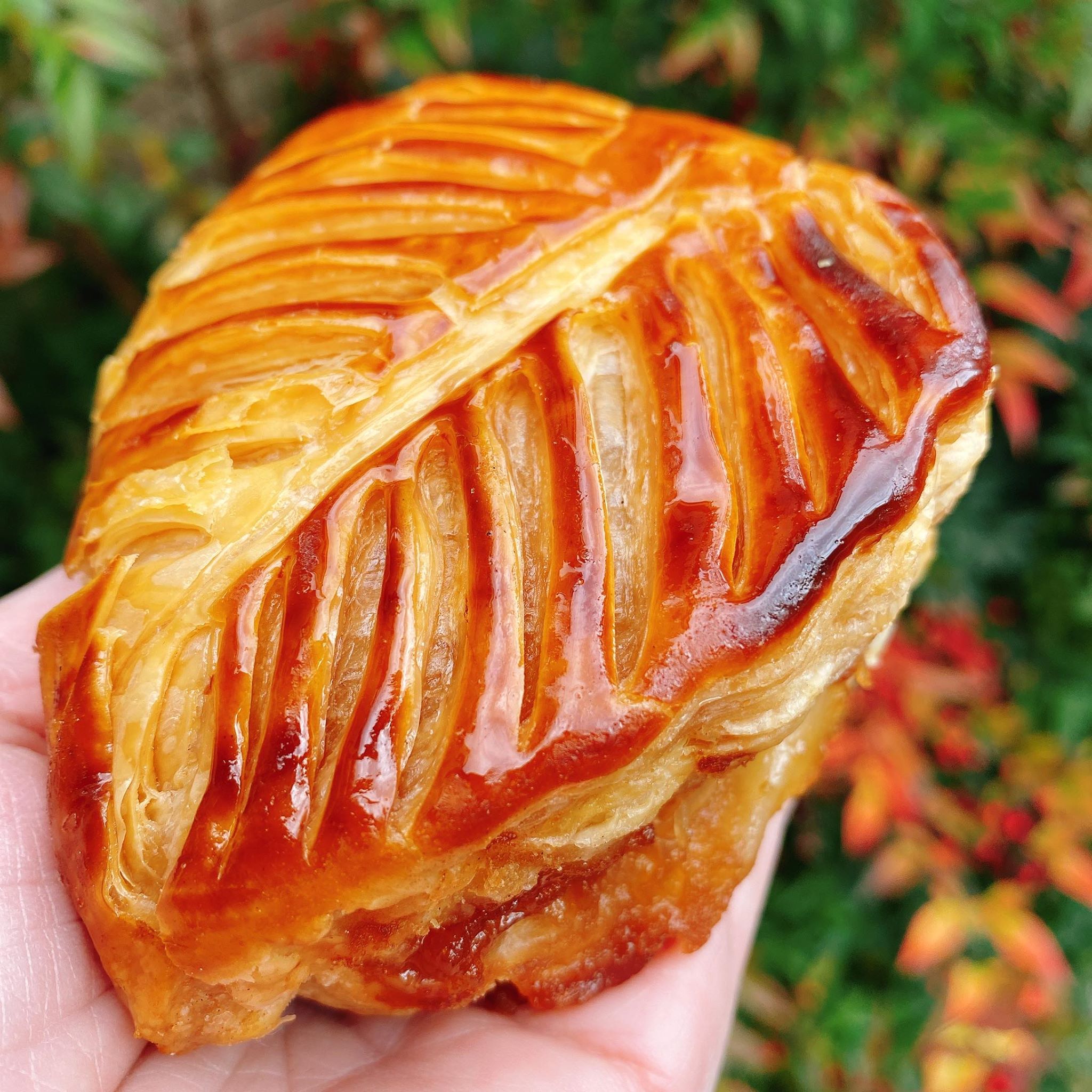 【根津】本場フランスの味が楽しめる！オープンしたてのパン屋さん「レ ジニシエ」