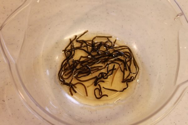 塩昆布