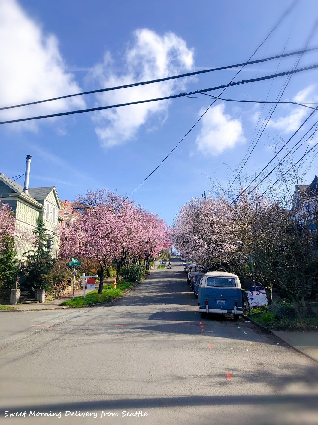 桜の花の咲く頃に