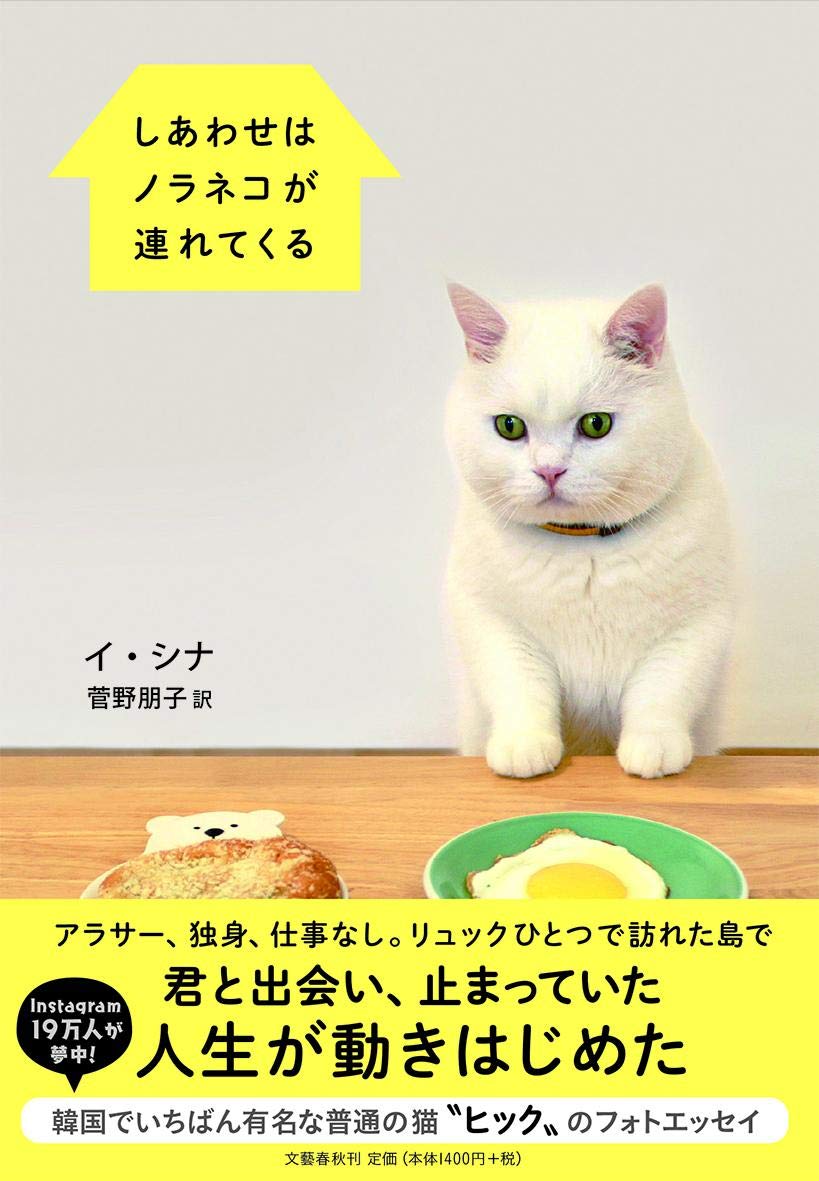 猫と一緒の小さな暮らしで幸せに。優しさに包まれるフォトエッセイ集