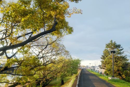 在宅勤務の日。朝はウォーキングから