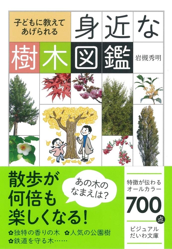 散歩のお供にオススメ『子どもに教えてあげられる 身近な樹木図鑑』