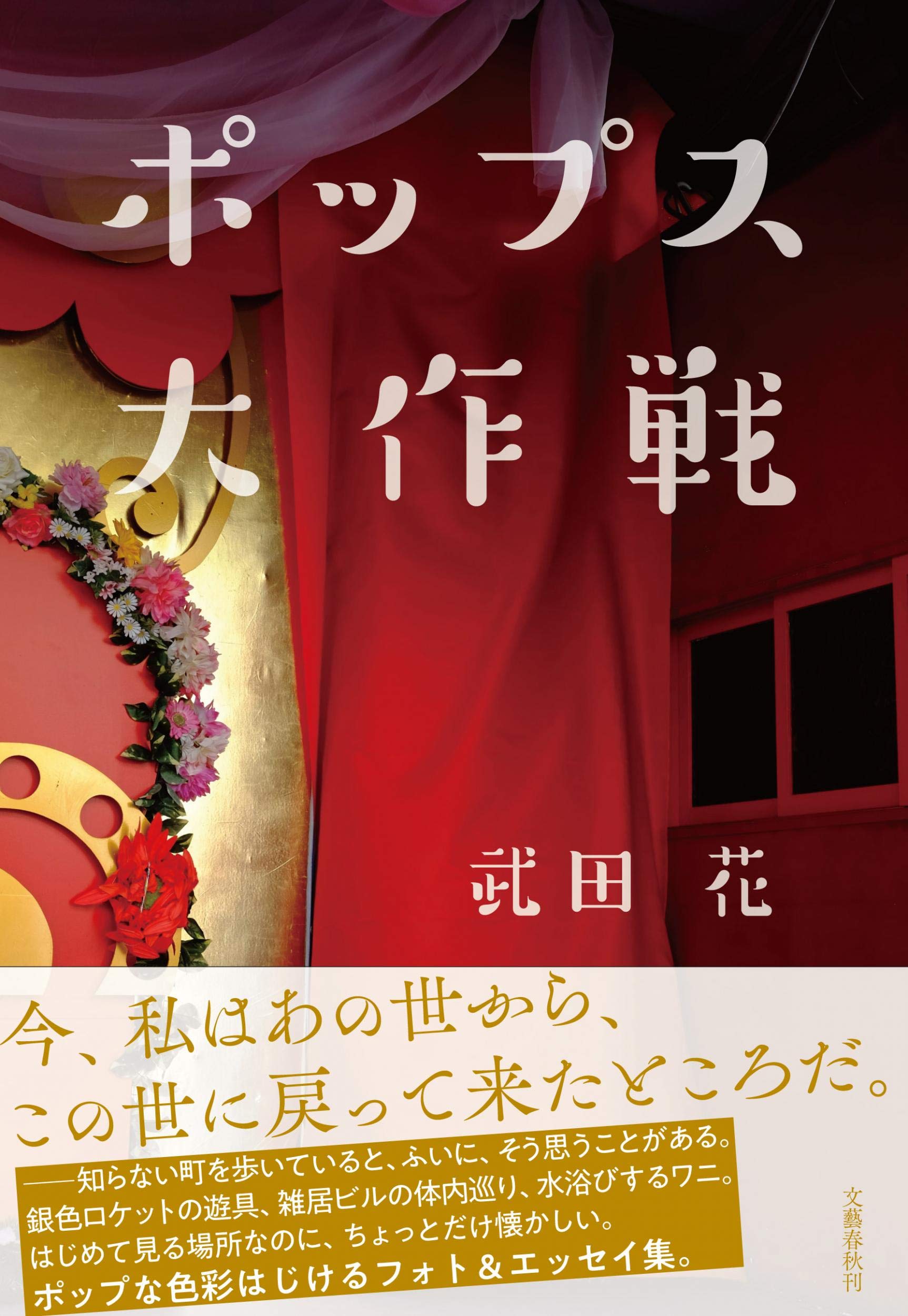 『ポップス大作戦』見知らぬ町へ旅したくなる、武田花フォトエッセイ