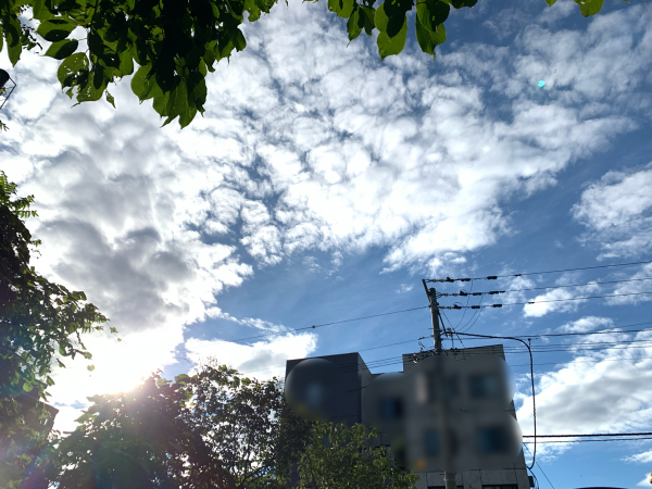 朝の空