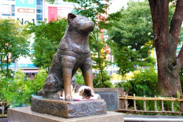 渋谷のハチ公像