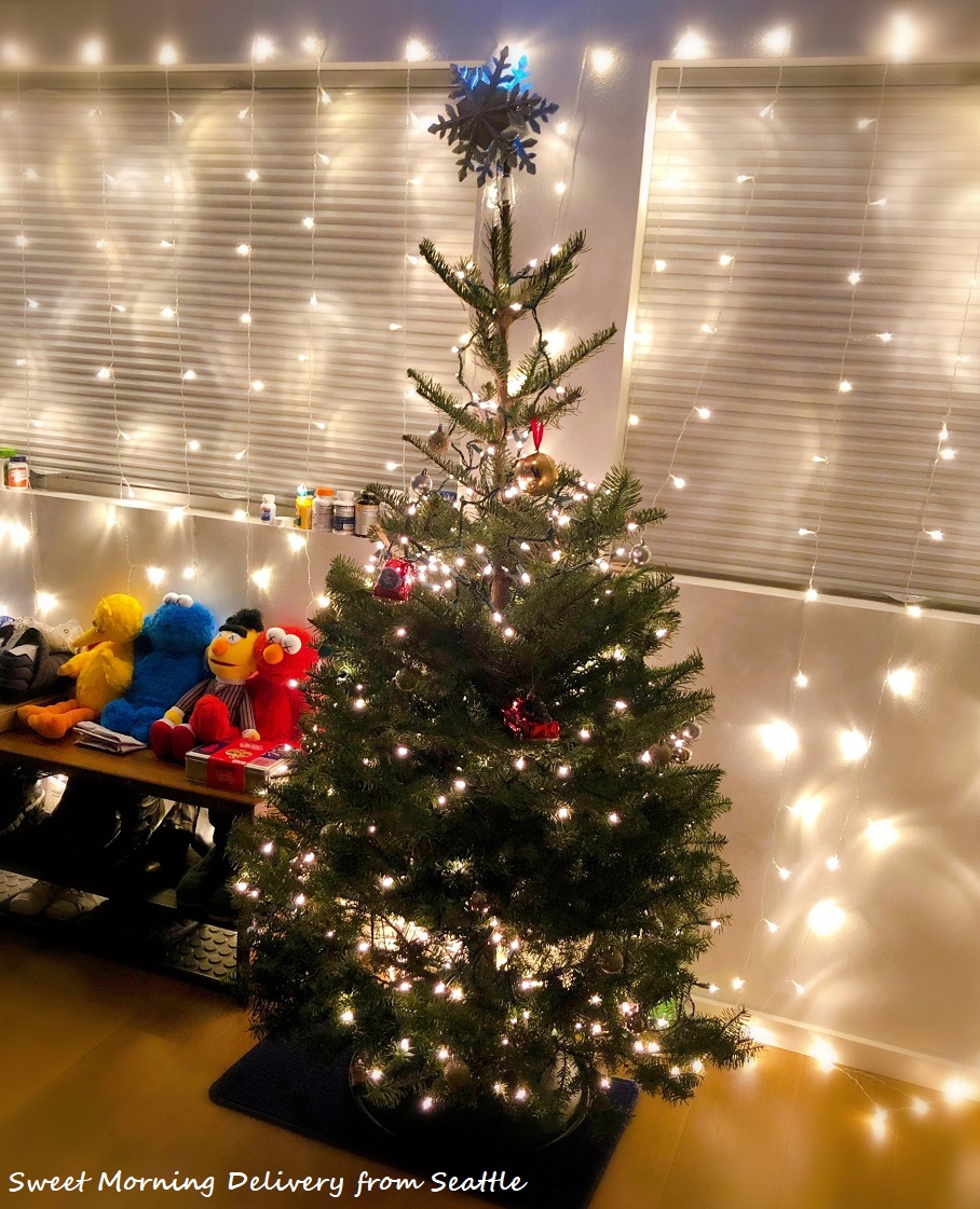 生のクリスマスツリーを買ってみる