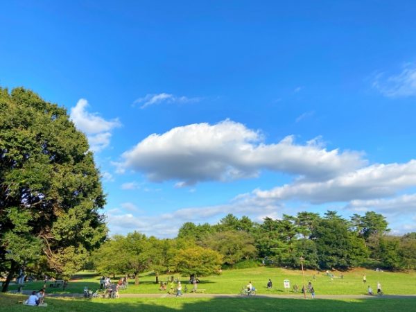 昼の公園