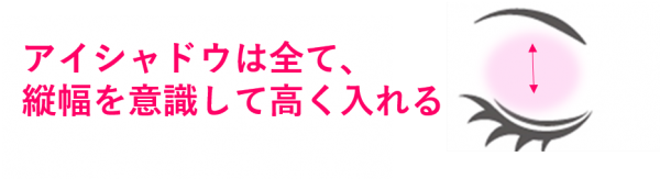 アイシャドウの入れ方