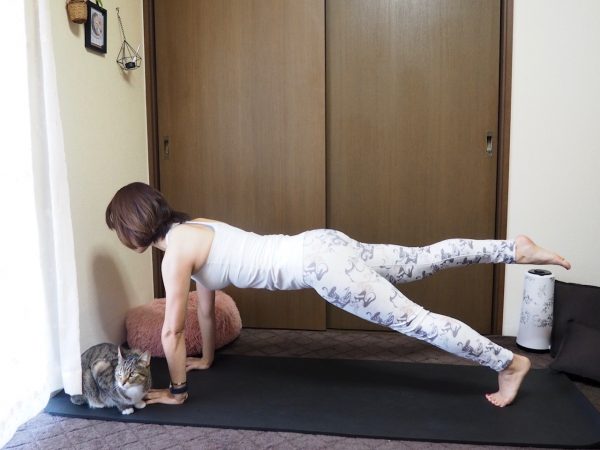 【お腹に縦線プロジェクト】ハイプランクからのひざタッチ!「腹直筋トレーニング」