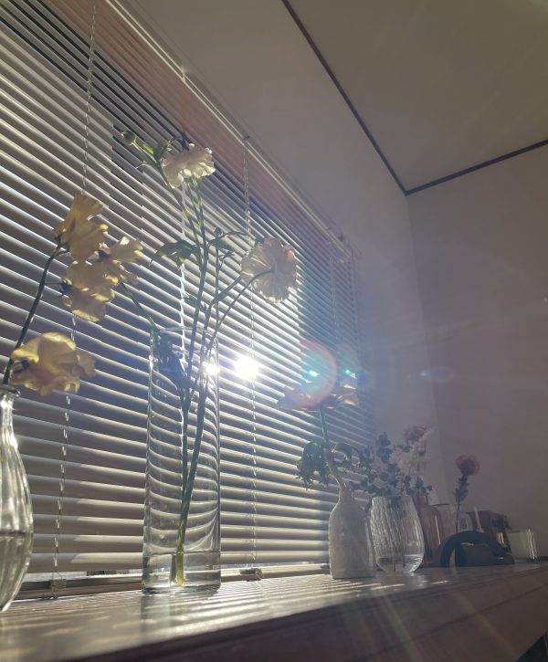 朝の光とお花
