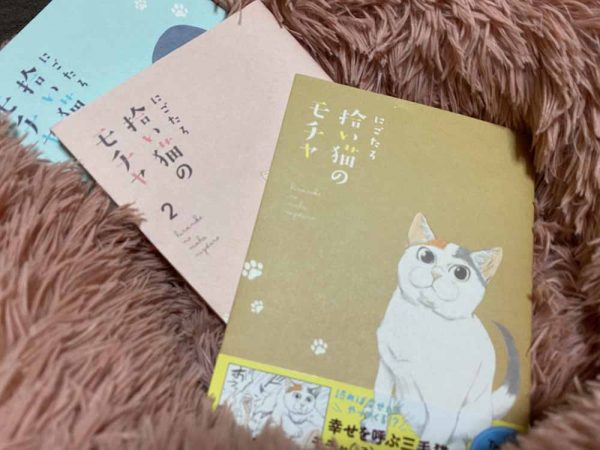 朝美人アンバサダー高木沙織さん読書_