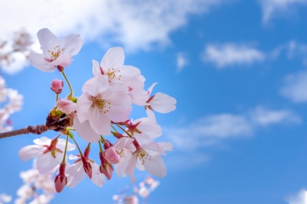 英語「go away」の意味って？
