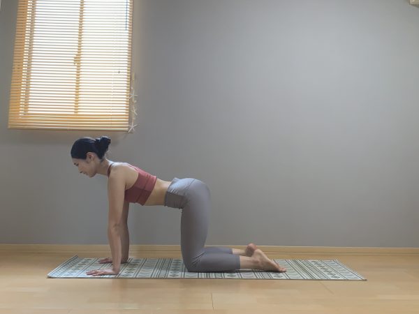 腹斜筋を鍛えてくびれをメイク!「サイドプランク」
