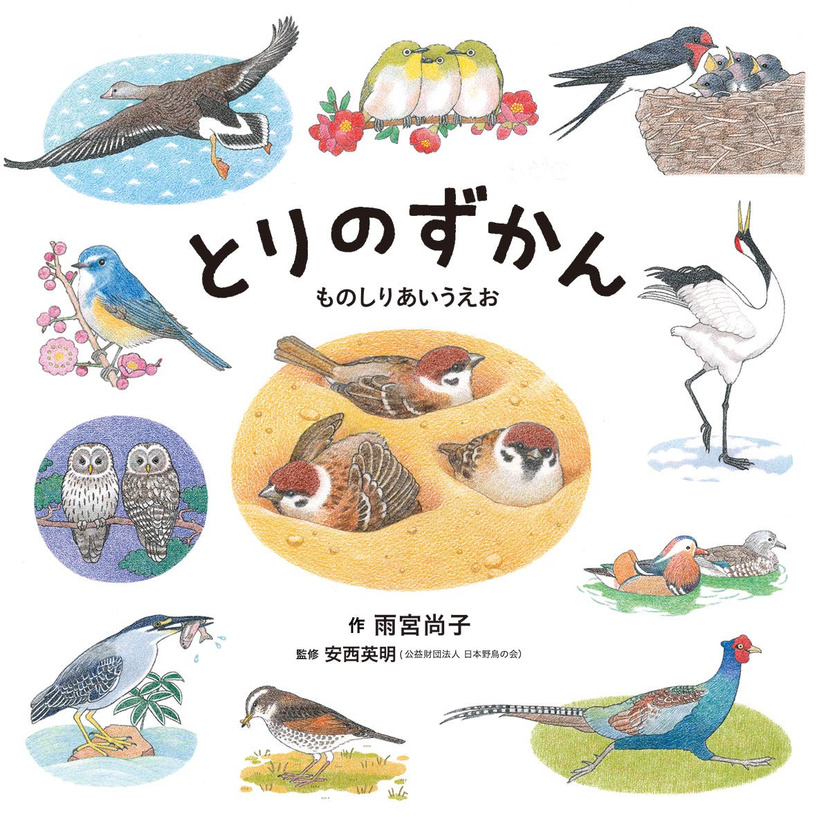 【日曜日の絵本】野鳥観察したくなる！大人も楽しい『とりのずかん』