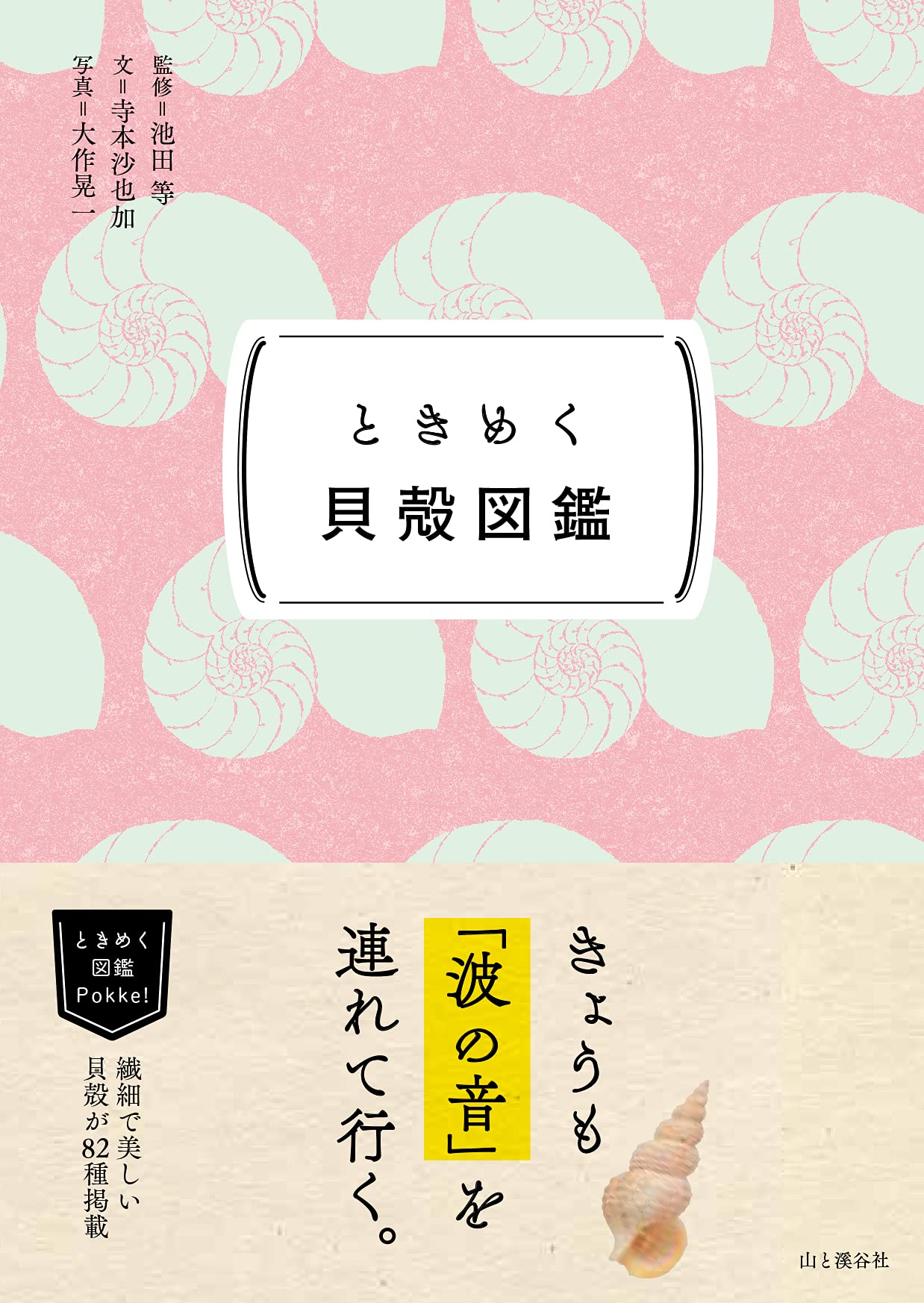 朝読書におすすめ！海辺を散歩したくなる一冊『ときめく貝殻図鑑』