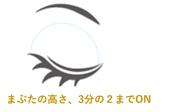 アイシャドウを入れる場所