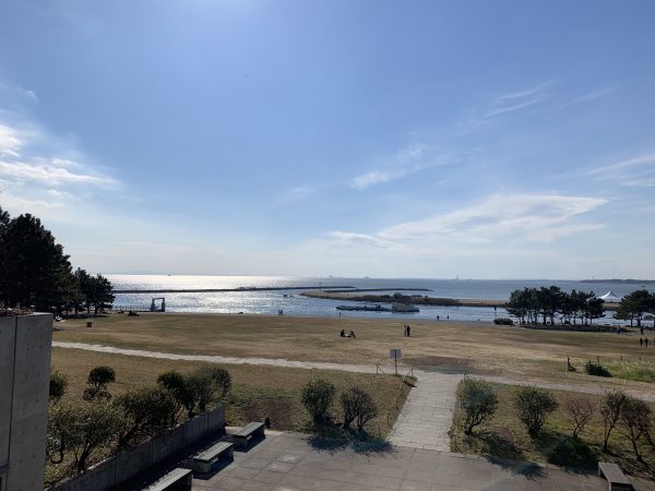 海