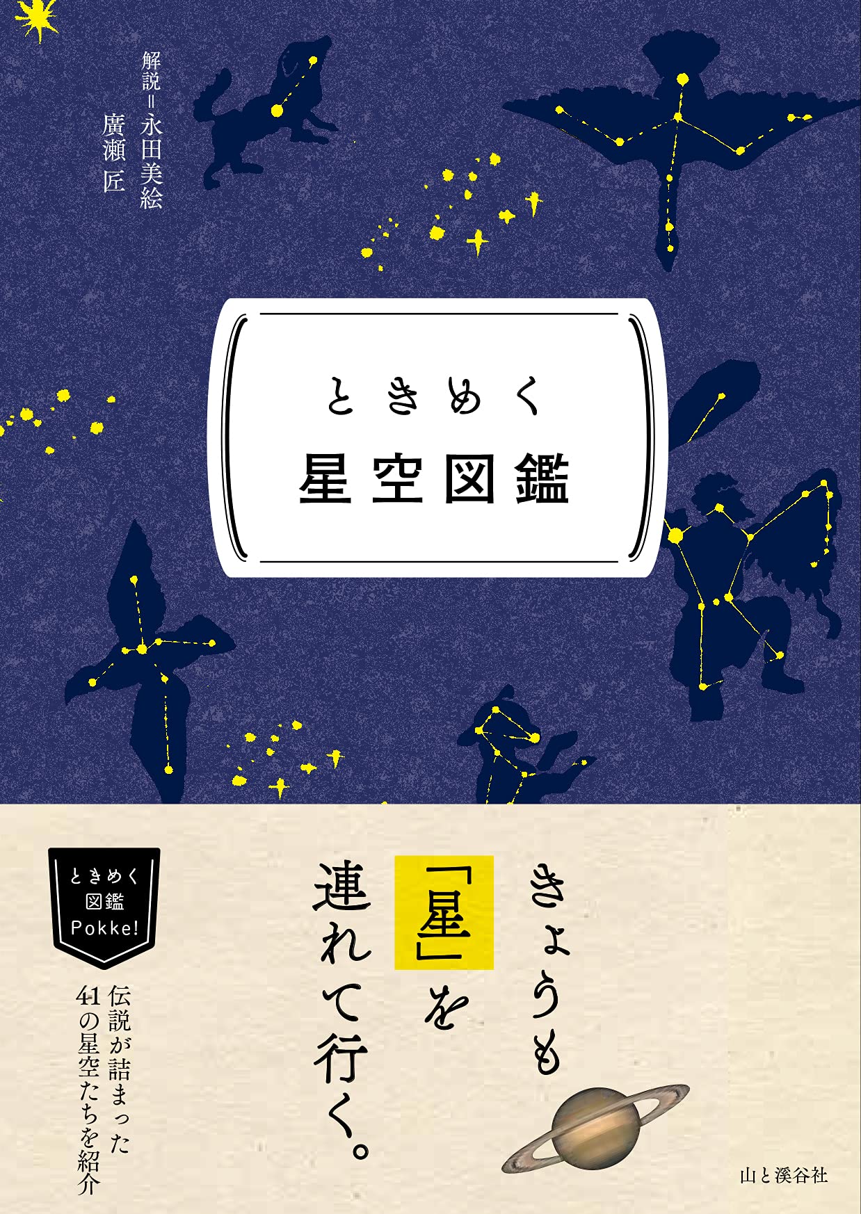 もっと夜空を見上げよう。忙しい大人を癒す一冊『ときめく星空図鑑』
