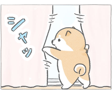 【四コマ漫画】vol.2「なかよし」｜おはよう！おしばと愉快な仲間たち