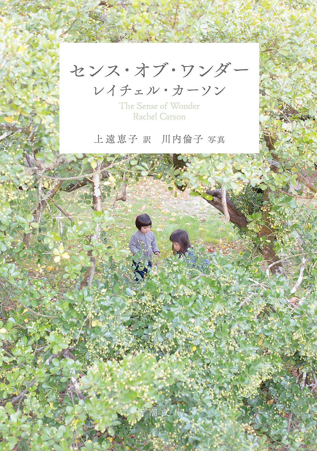 自然をすぐそばに感じたい時に。心も体もみずみずしくうるおう一冊