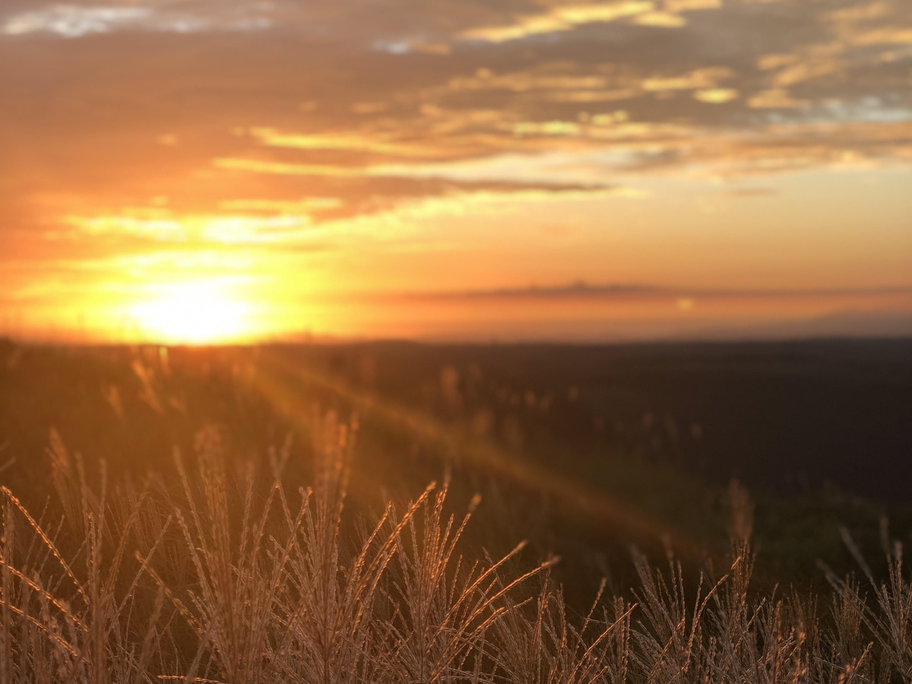 身近にある絶景！私が朝の「日の出」をおすすめする理由