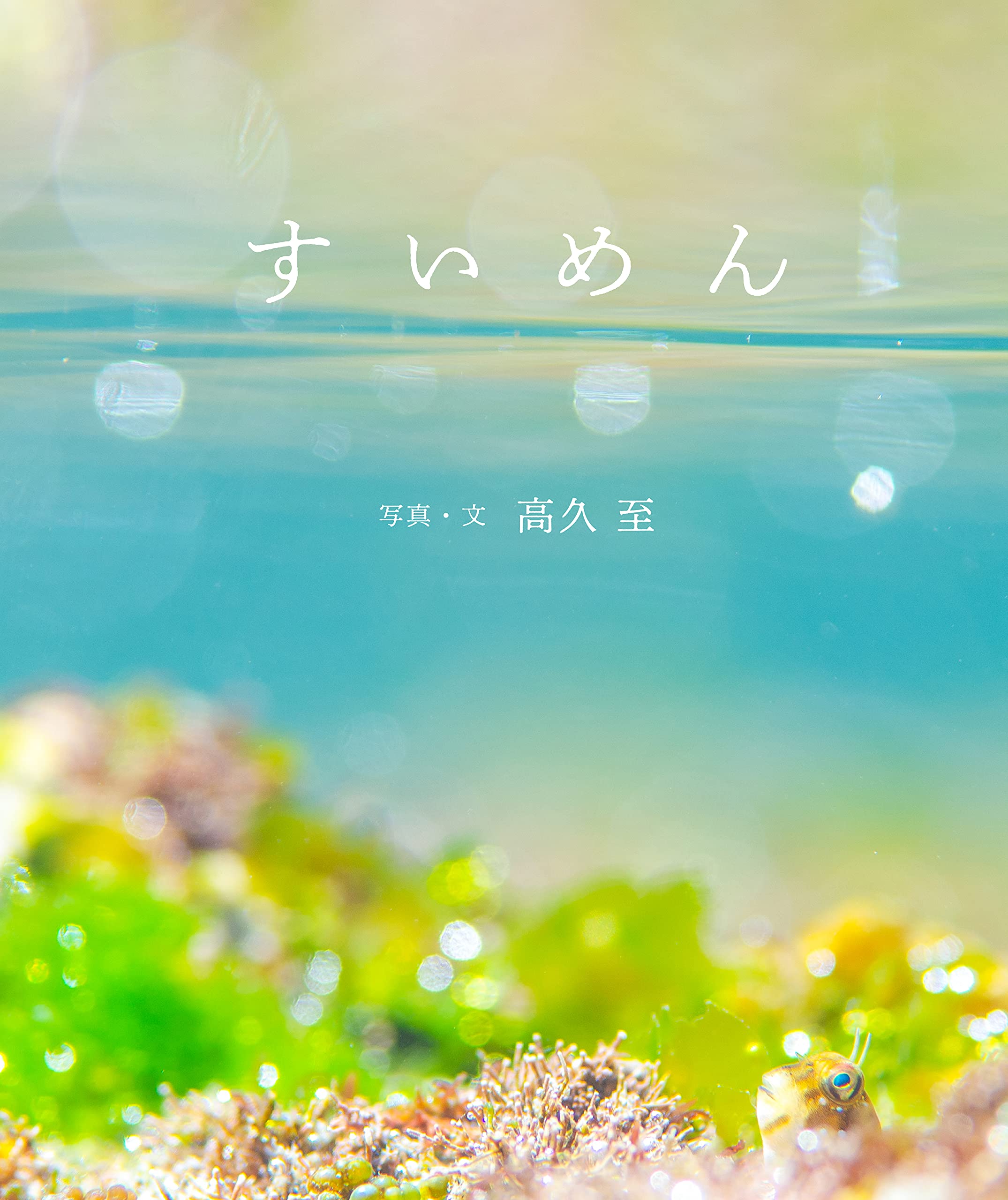 【日曜日の絵本】海でいちばん美しい場所「水面」をテーマにした一冊