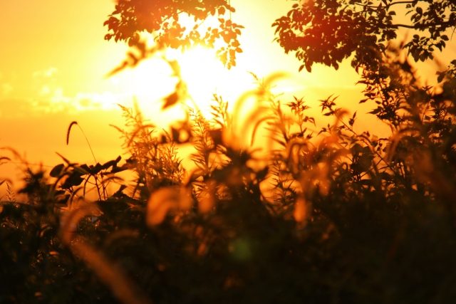 秋の夕日