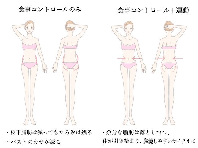 余分な脂肪を作っていない？筋力を高める運動を取り入れよう