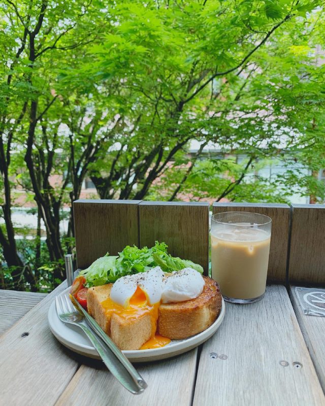モーニング