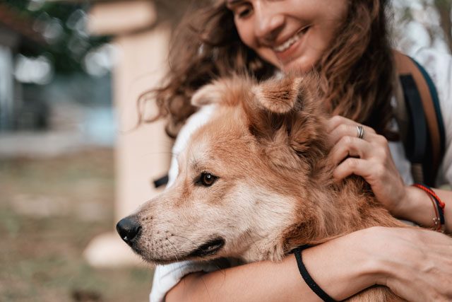 犬と女性