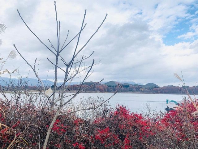 湖