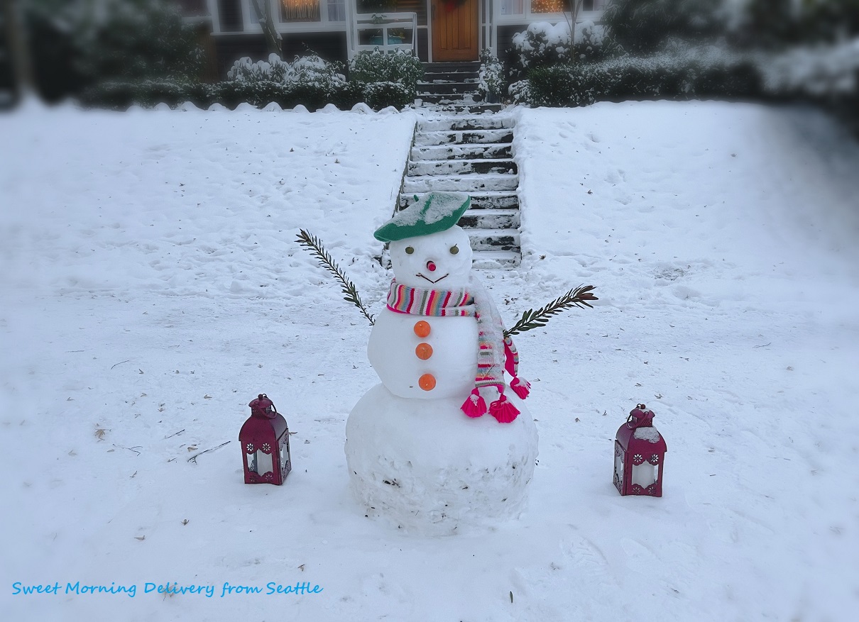 アメリカで一番可愛い雪だるま